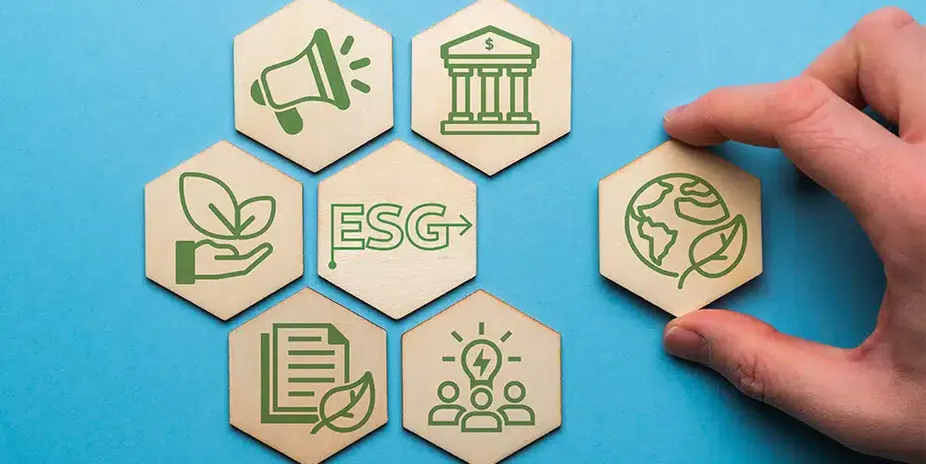 ESG environmental social governance training