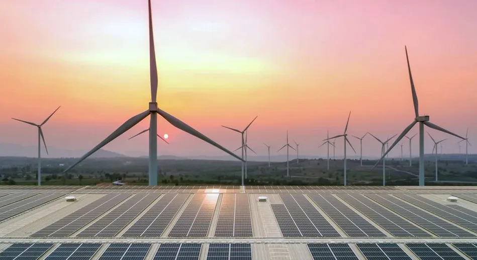 Renewable energy investment education